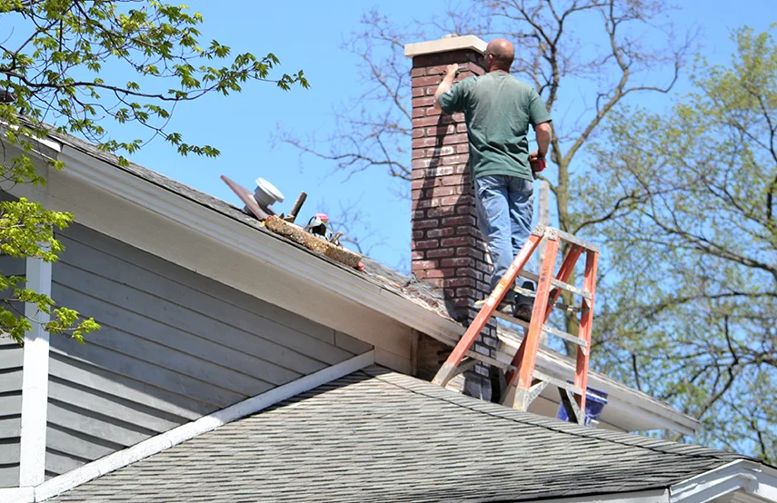 Chimney & Fireplace Inspections Services in Holly Springs, NC
